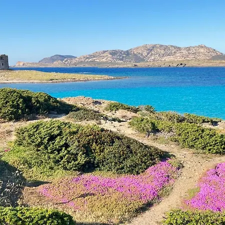 Splendido Con Vista Mare E Piscina