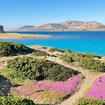 Splendido Con Vista Mare E Piscina